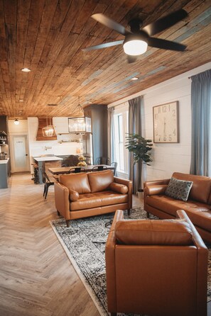 Smart TV, fireplace, DVD player, books