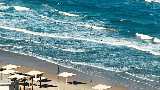 Una playa con olas, sombrillas y palmeras.