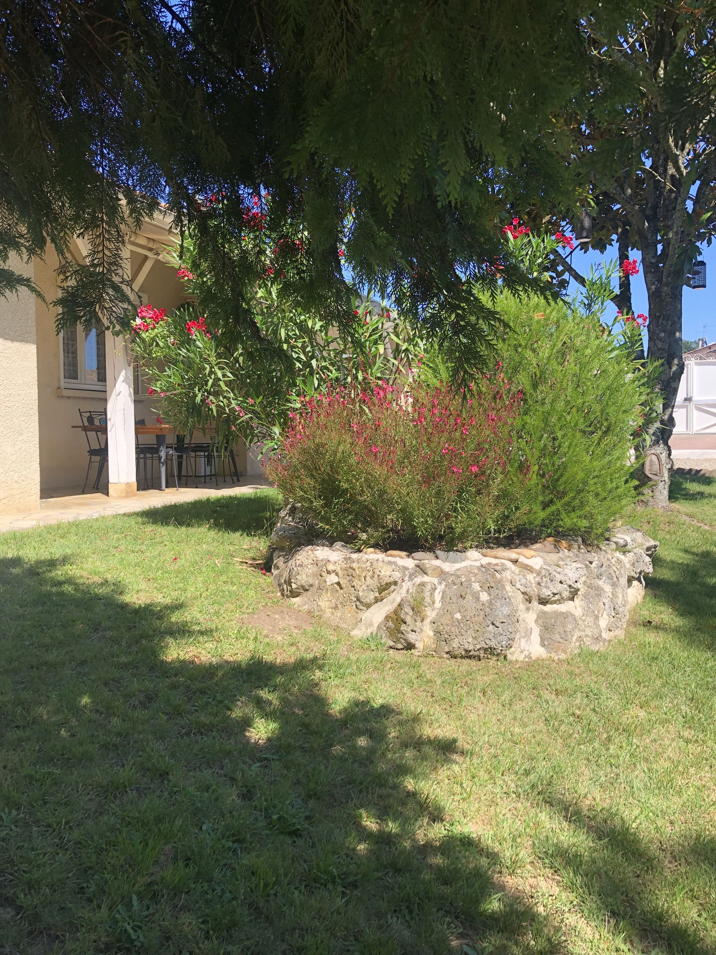 Ein Steingartenkübel mit Baum und blühenden Pflanzen in einem Innenhof.