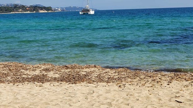 A beach with a sailboat in the water and a distant shoreline with buildings. - Quiet garden-level apartment with sea view (Sainte-Maxime)