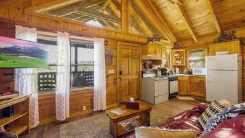 電視、壁爐、 辦公室