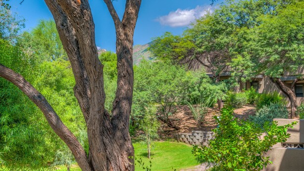 Un patio arbolado con un muro de piedra y un edificio al fondo.