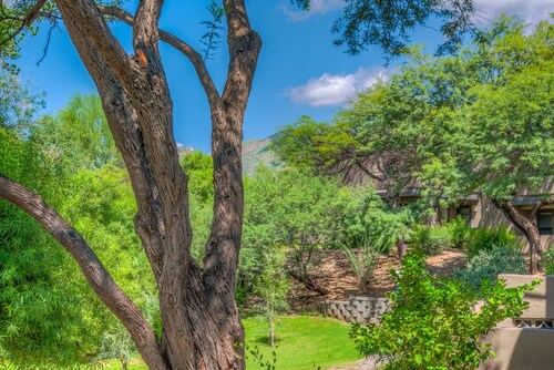 Gorgeous Foothills Condo