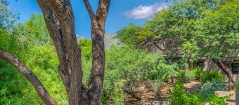 Gorgeous Foothills Condo