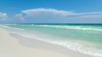 Plage à proximité, chaises longues, serviettes de plage