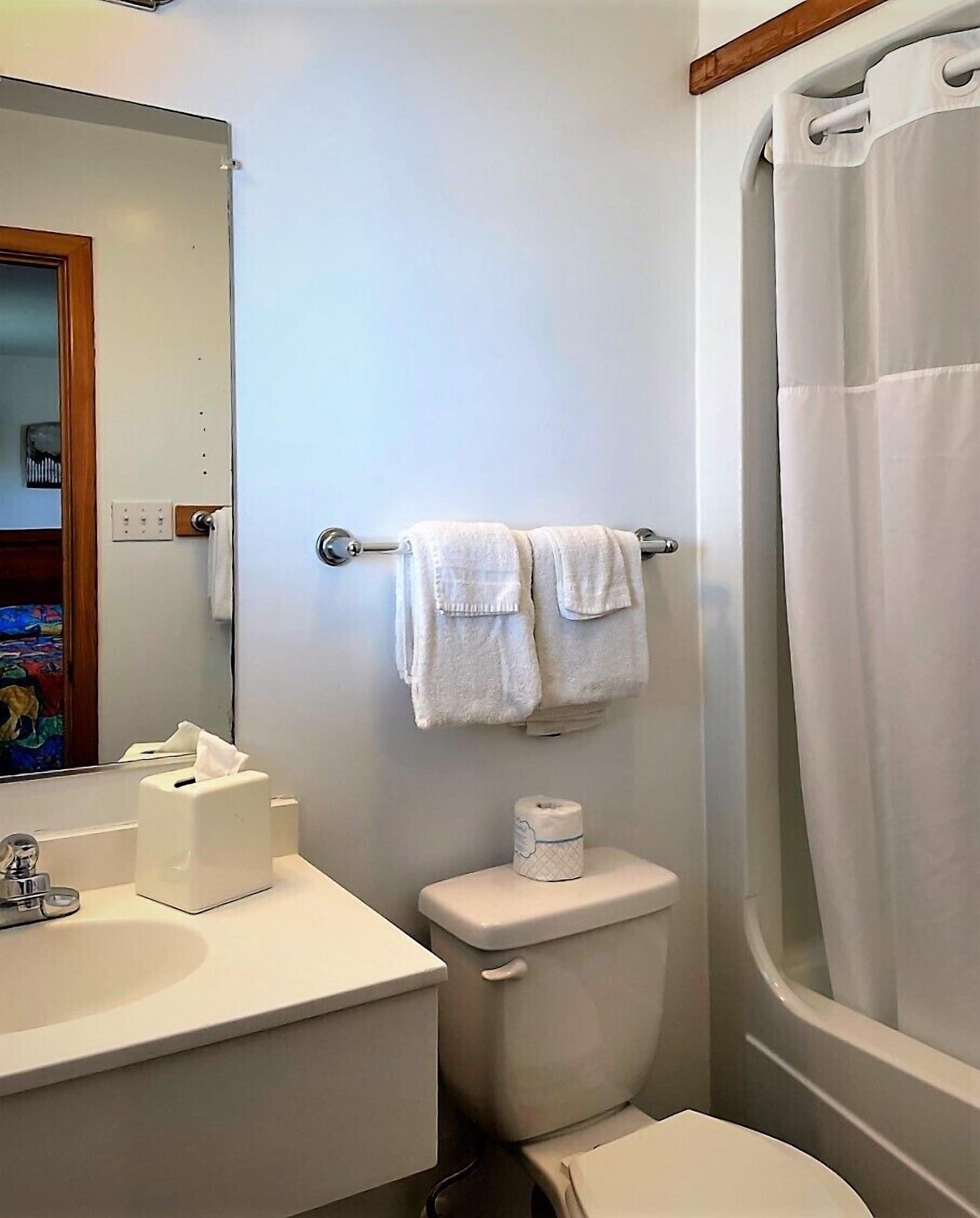 Une salle de bain avec des toilettes, un lavabo et un rideau de douche.