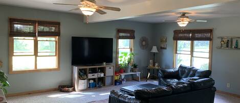 Smart TV, computer monitors