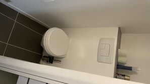 Shower, towels, toilet paper
