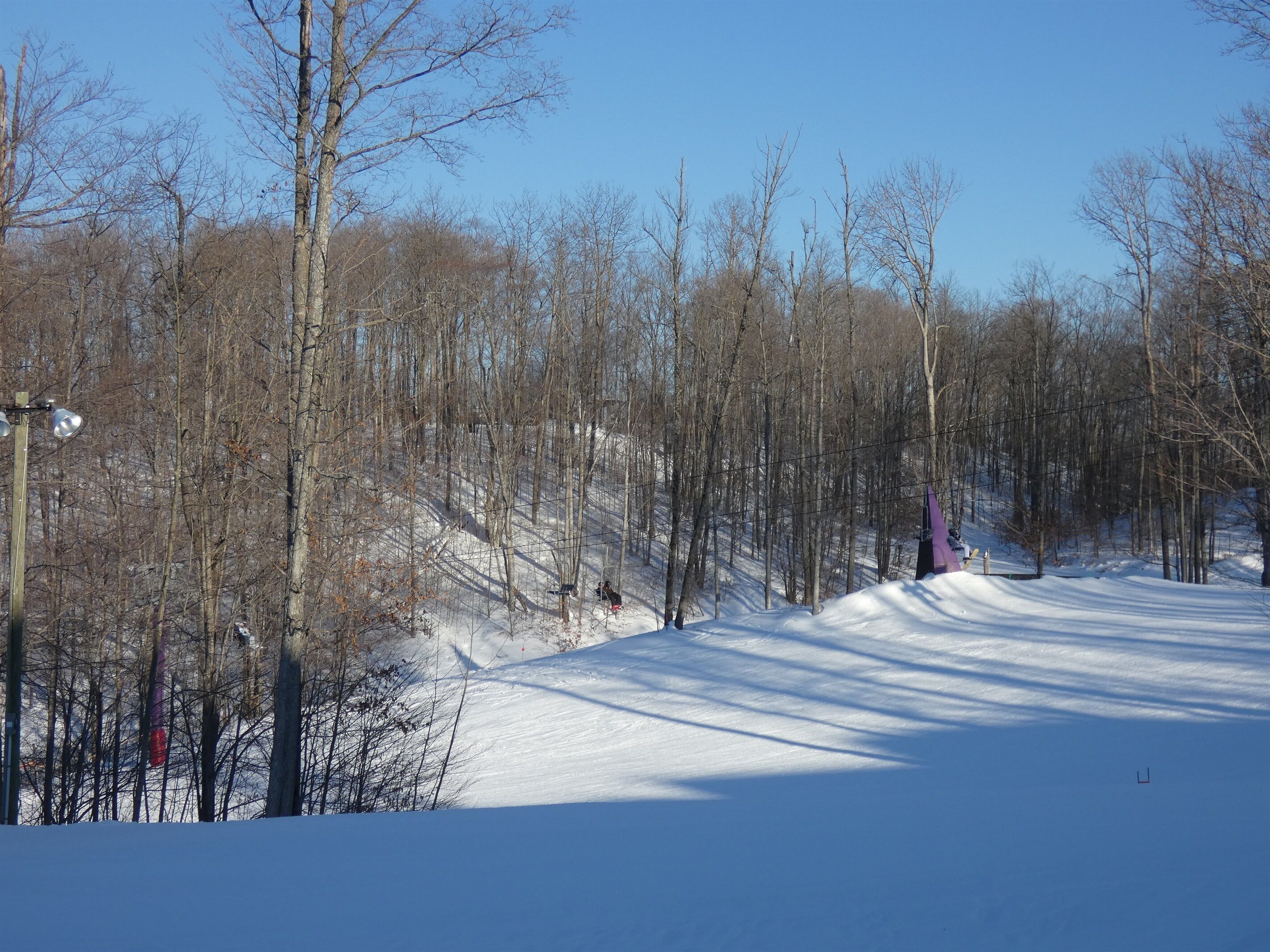 A snow-covered landscape with bare trees and a clear sky.