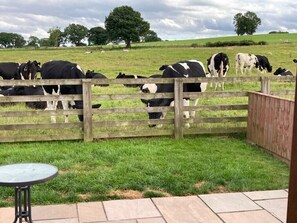 Property grounds - Idyllic Dales Cottage for up to 8 people (Ripon)