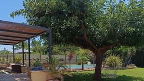 Un patio couvert, accessible par quelques marches, donne sur une piscine, le tout étant entouré d’une pelouse bien entretenue et de diverses plantes.