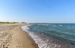 Am Strand, Angeln