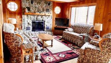 Smart TV, fireplace, books
