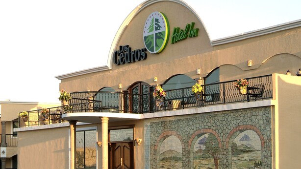 A hotel with a prominent sign, a balcony with potted plants, and a mosaic mural on the facade.