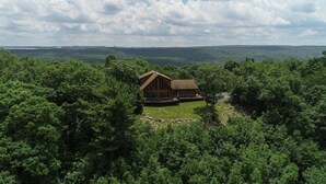 A cabin surrounded by dense forest, with a clear view of the surrounding landscape.