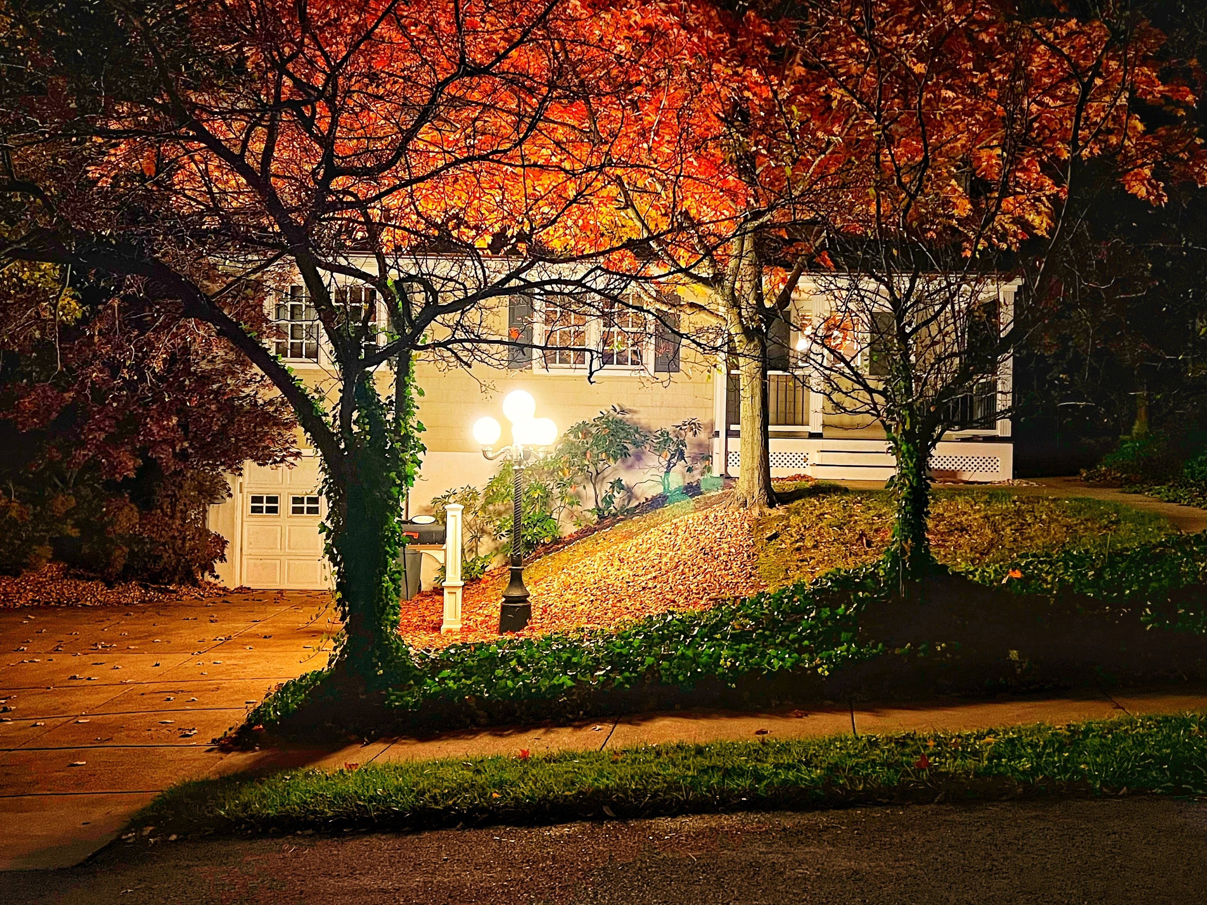 المنطقة المحيطة بالمنشأة