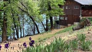 A wooden cabin by a lake with a dirt path leading to it, surrounded by trees and purple flowers. - Lakefront #1 Cabin on Acre, Kayaks, Paddle Boards  - Shasta Lakeshore Retreat #4 (Lakehead)