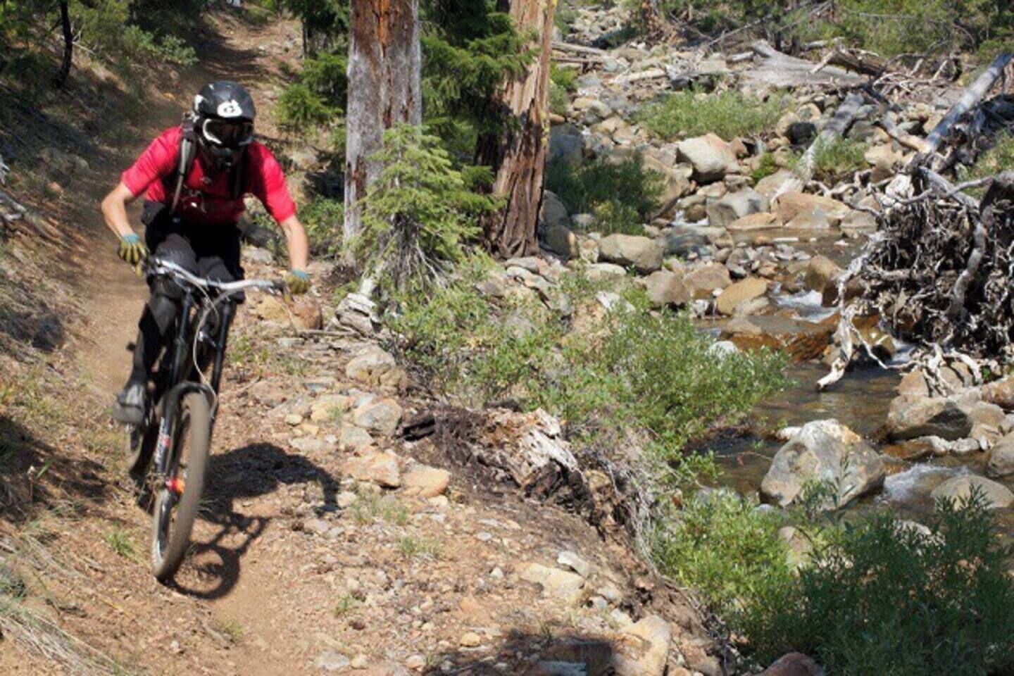 Un ciclista de montaña en un sendero pedregoso con un arroyo.
