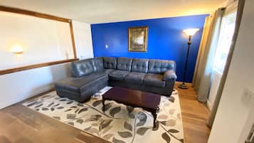 Smart TV, fireplace, books