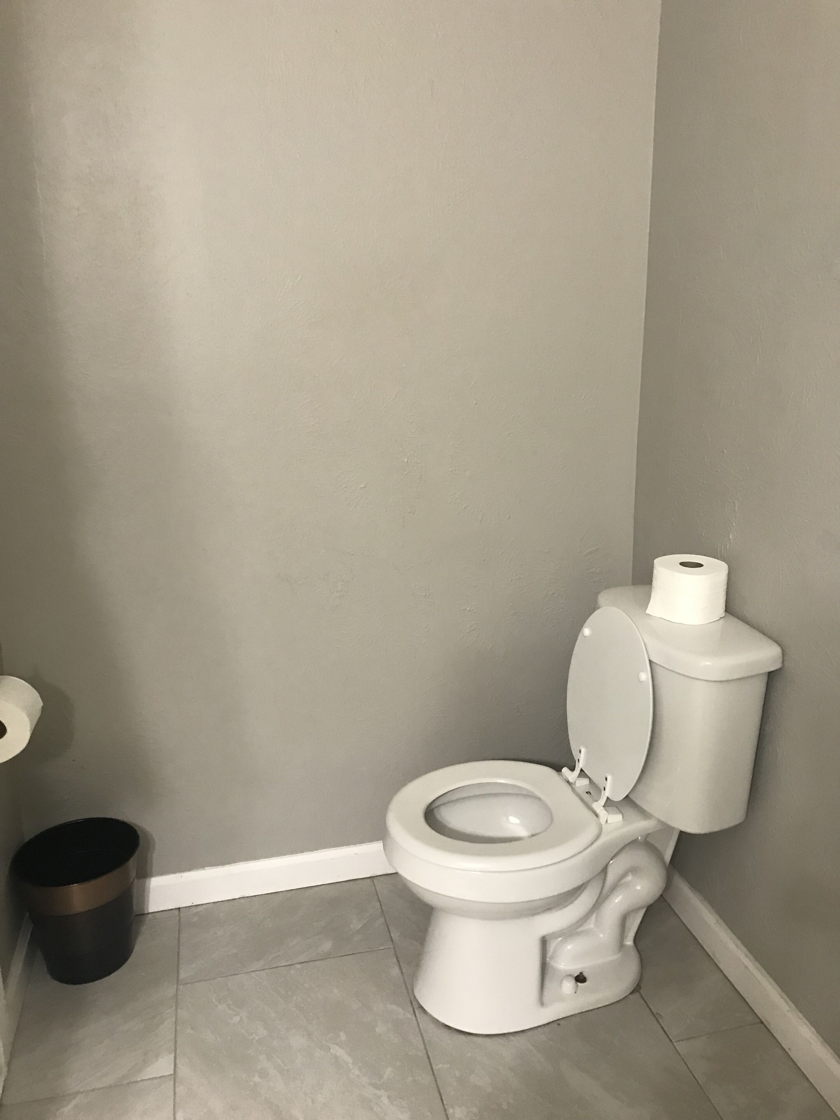 A bathroom with a toilet, a trash can, and a roll of toilet paper on the wall.