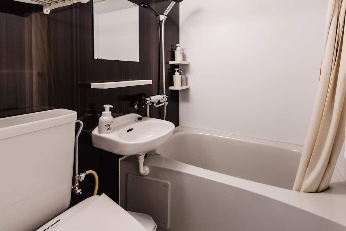 combined shower/bathtub, free toiletries, hair dryer, slippers