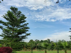 Property grounds - Enite Farm (Tikli)