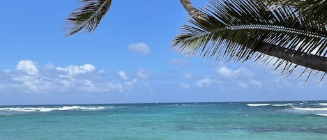 On the beach, sun-loungers, beach towels