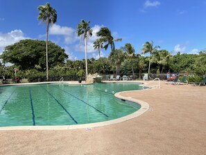 Uma piscina com água cristalina, rodeada por palmeiras e espreguiçadeiras.