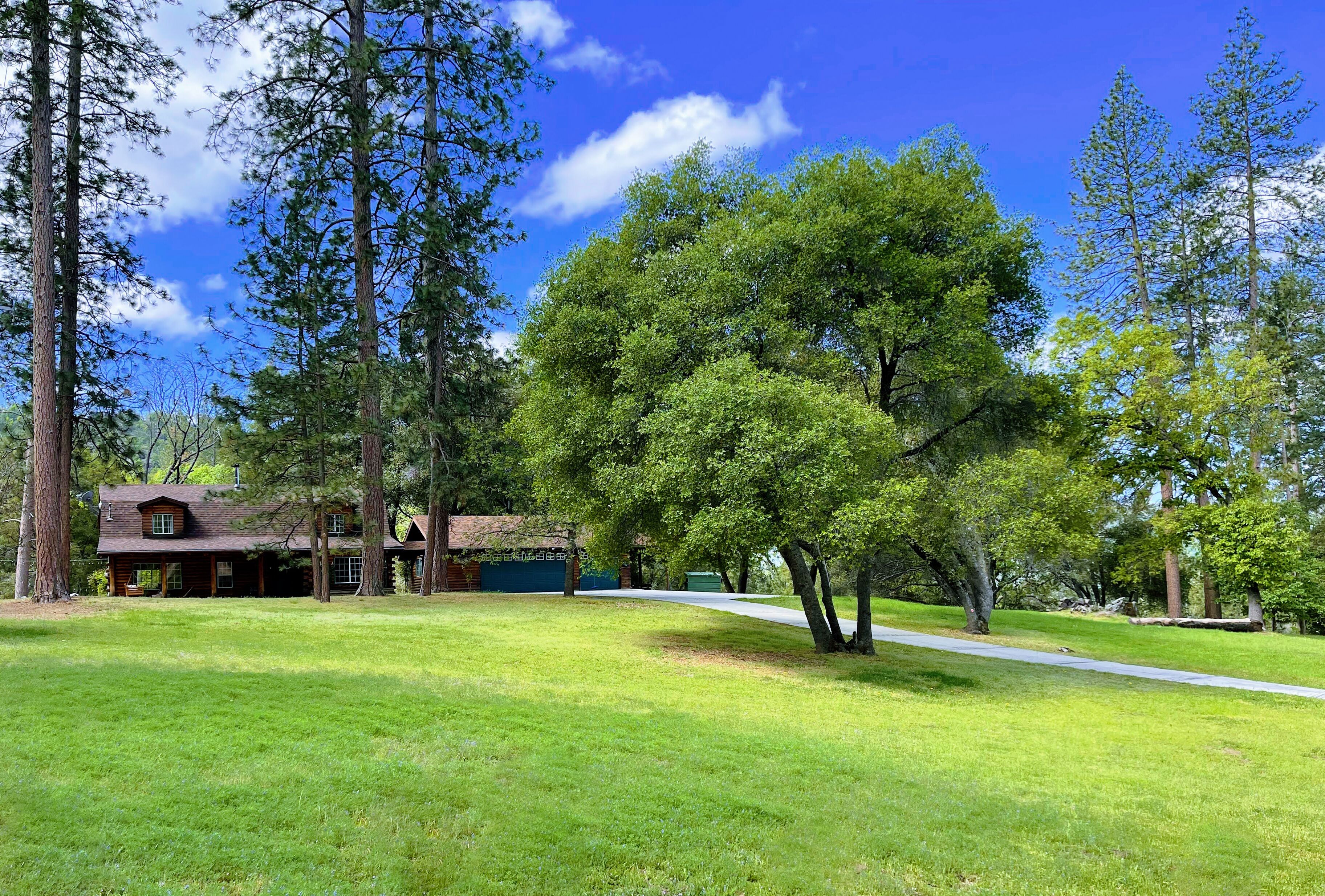 A rustic cabin with a large lawn, surrounded by tall trees and a clear blue sky.