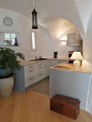 Fridge, microwave, oven, dishwasher - Beautiful property in Drôme Provençale! (Cléon-D'Andran)