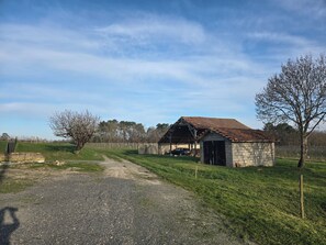 Luokittelematon kuva, 5 kautta 15, painike