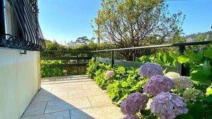 A paved outdoor area with a metal railing, potted plants, and hydrangea flowers. - The Cliffs - The Area Nightfall (Viveiro)