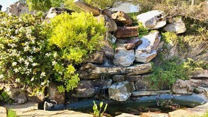 Un jardín con un muro de piedra, un pequeño estanque y diversas plantas.