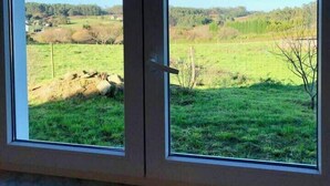 A room with two windows overlooking a grassy field and a distant tree line.