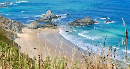 The Hidden Secret on the Cliffs