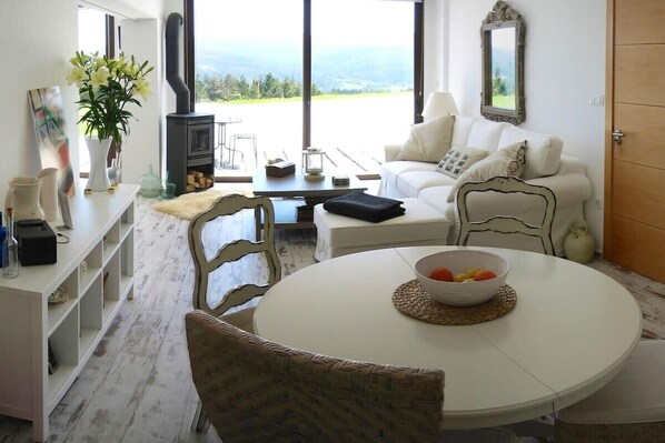 TV, fireplace, video game console, stereo