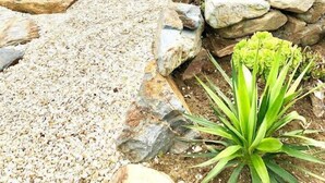 Un sendero que lleva a una casa con borde de piedra y plantas.