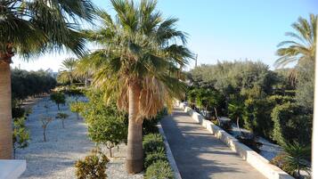 Villa | Property grounds