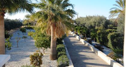 Luxury 6 Bedroom Villa With Privet Pool in Paphos