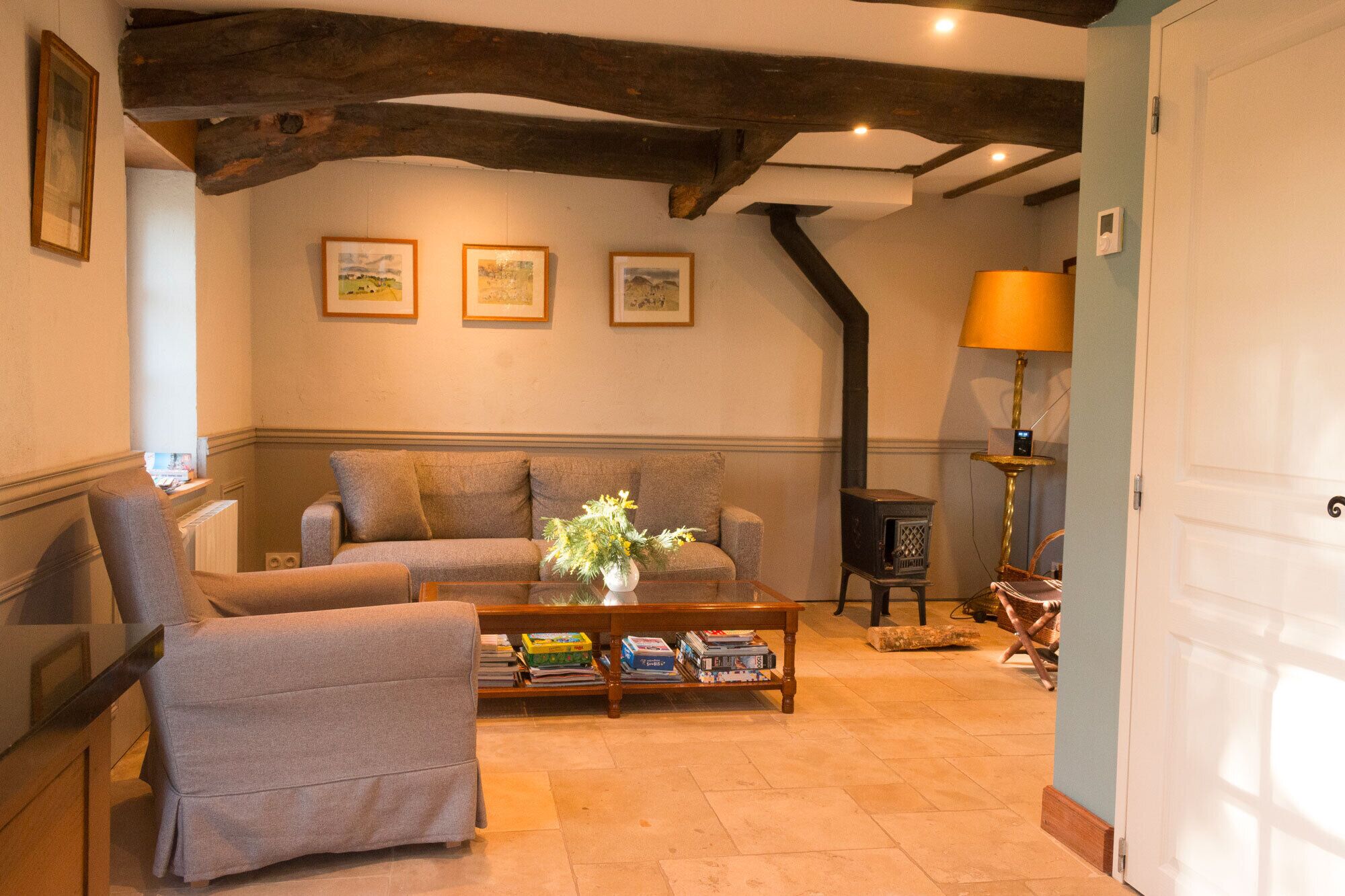 智能電視、壁爐、DVD 播放機、書籍