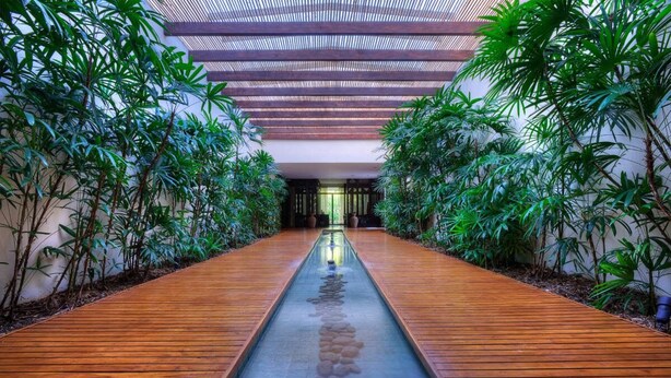 A wooden pathway leading to a building entrance, surrounded by lush greenery and bamboo plants.