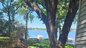 Un patio trasero con un árbol grande, un patio de hormigón y vista a un lago.