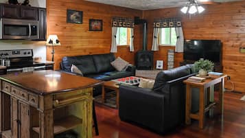 Smart TV, fireplace, DVD player, books