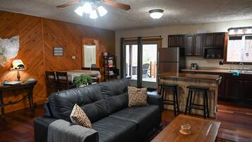 Smart TV, fireplace, DVD player, books