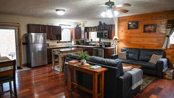 Smart TV, fireplace, DVD player, books