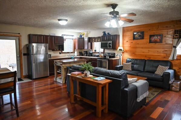 Smart TV, fireplace, DVD player, books