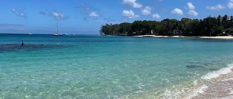 Nær stranden, solsenger og strandhåndklær