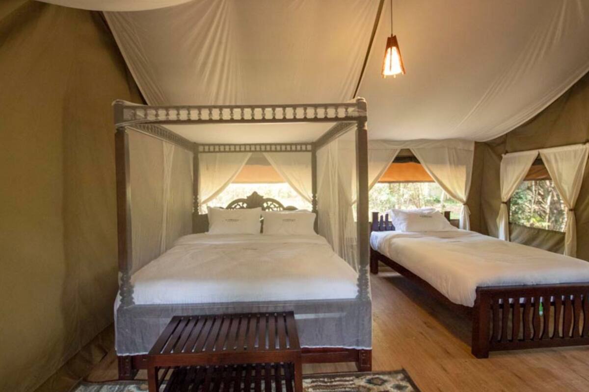 A four-poster bed with a canopy, a smaller bed, and a bench in a tented accommodation.