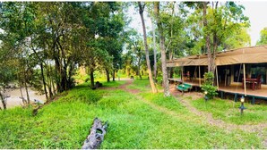 A tented accommodation with a covered porch, surrounded by trees and a grassy area. - Lorian Safari Camp (Maasai Mara)