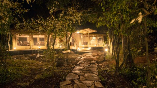 A stone pathway leading to two glass-roofed cabins surrounded by trees. - Lorian Safari Camp (Maasai Mara)